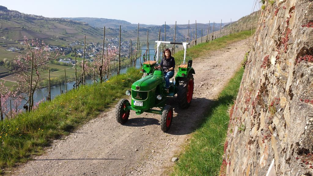 Weingut Hirschen Enkircherweg Burg  Habitación foto